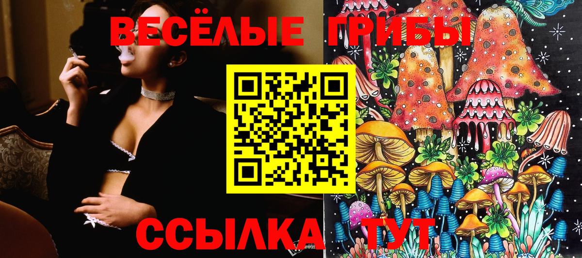 Валуйки  Галлюциногенные грибы мухоморы  даркнет сайт  Вход с VPN 
