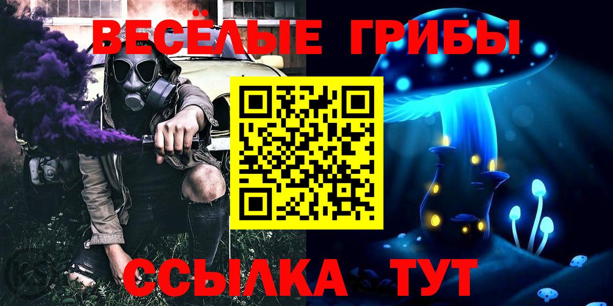 Галлюциногенные грибы Cubensis Валуйки